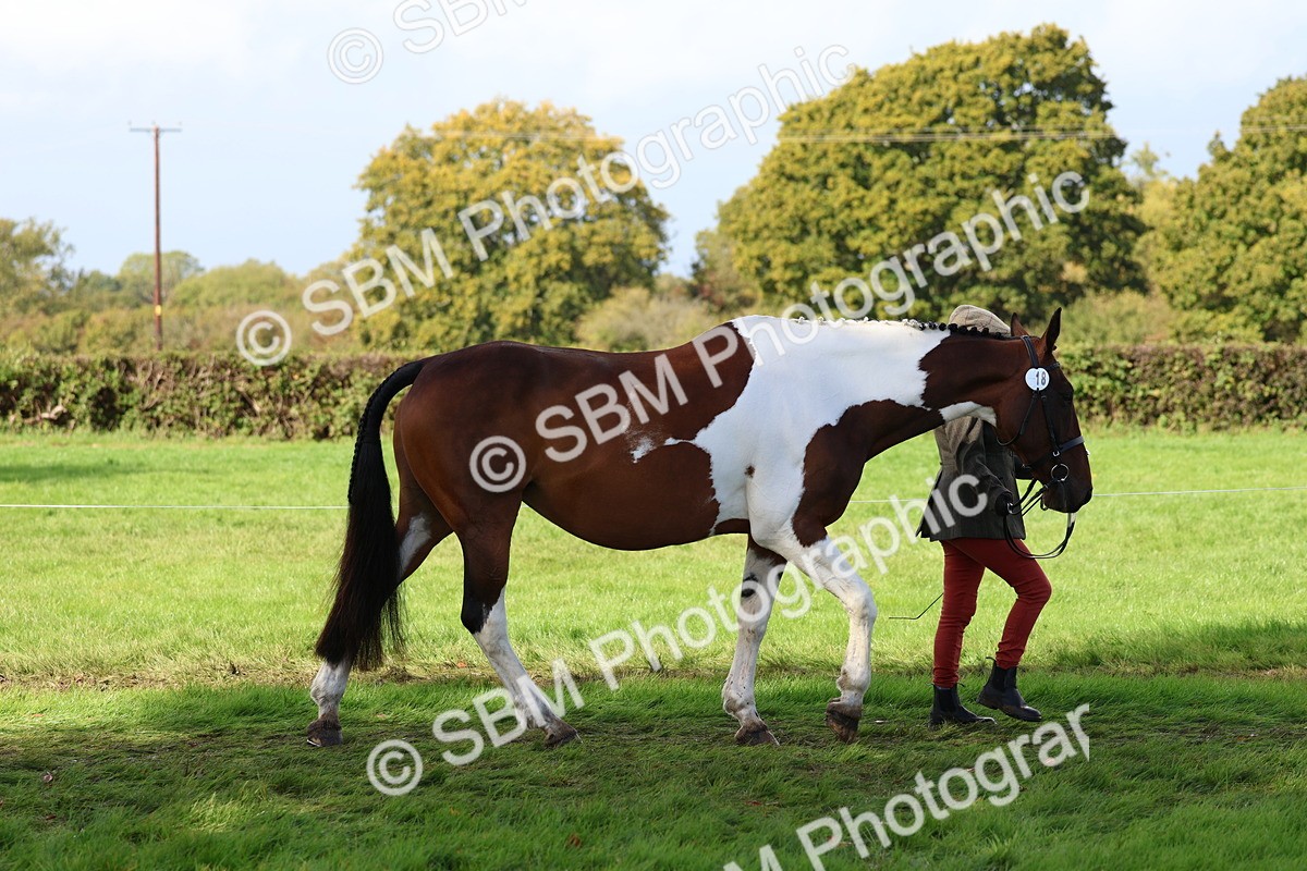 SBM_39392 - S24 - Young Veteran In Hand