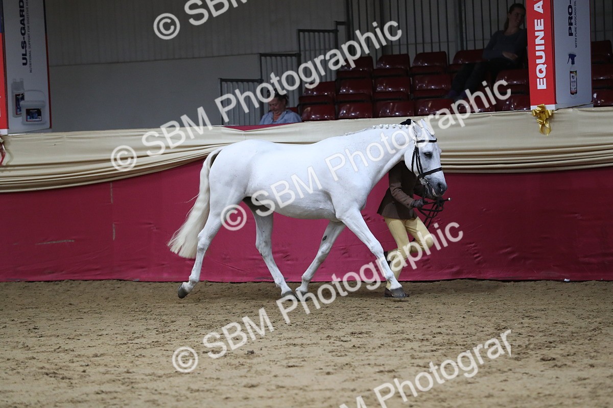 SBM_05019 - Class 8R- Regional -IH Veteran