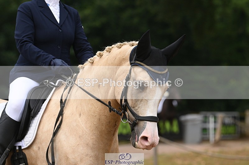 250719A-093426-02965 - 031-Catherine.Boyd-Dante's.Spring