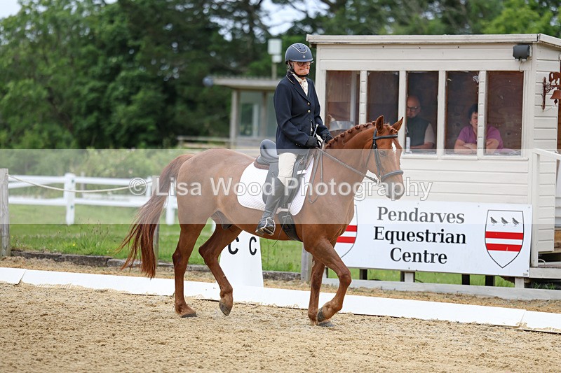 3E7A9393 - Class 2: Intro 1 2024 Section B