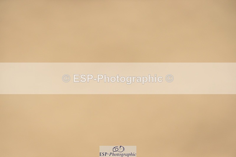 250622-113010-14326 - Quest Cls 25-30 Prelim Tests