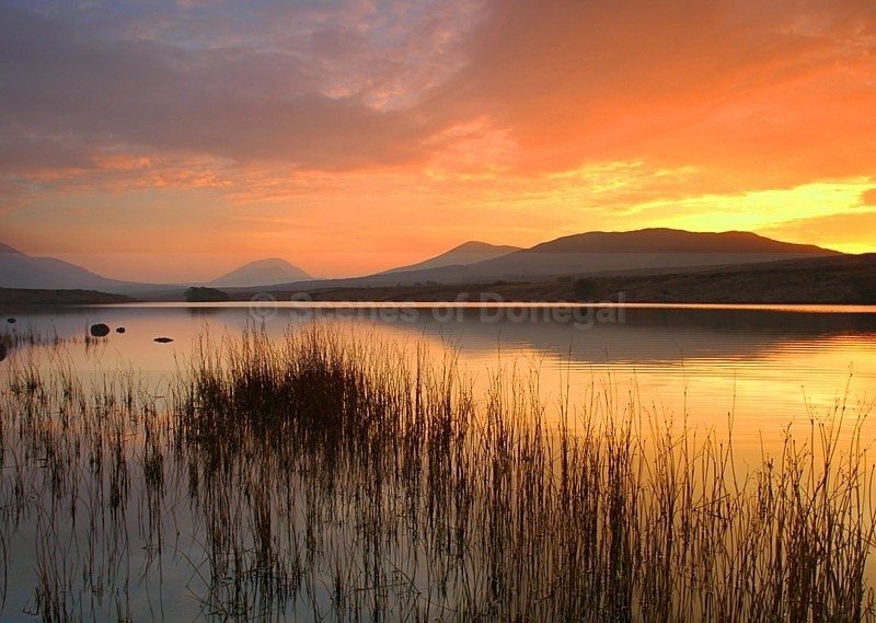Donegal Gold - Other Areas of Inland Donegal