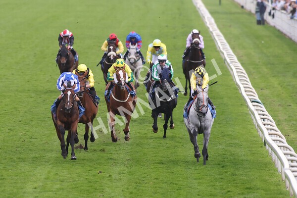 yr09102021r6-11 - Race 6 4.25pm Coral Best Odds Guaranteed Handicap