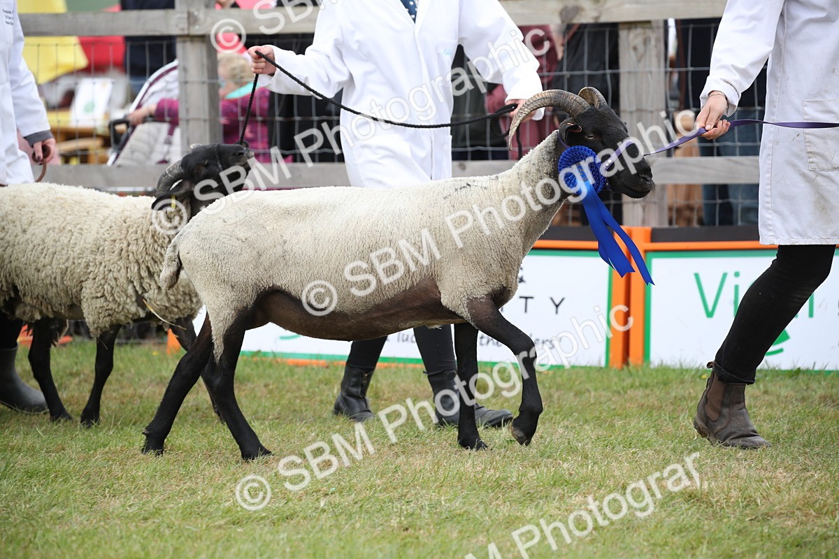 SBM_07782 - Grand Parade