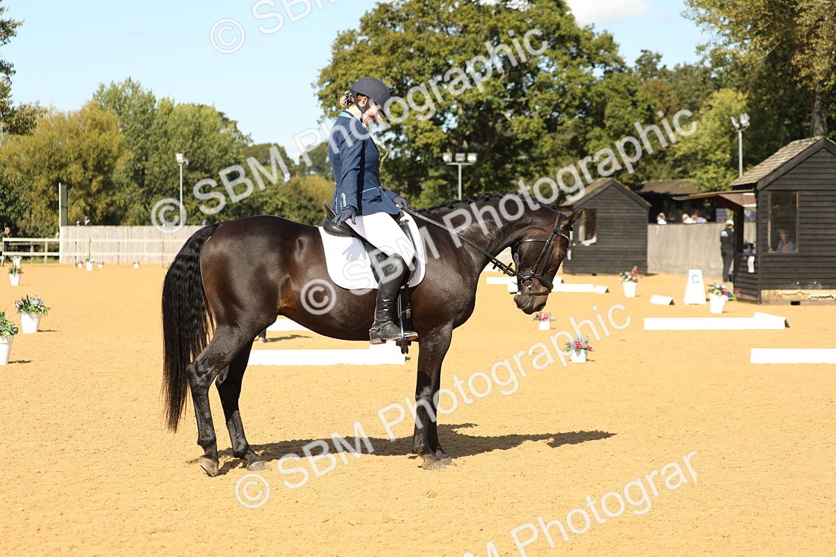 SBM_24508 - D17 - Grand Tour Championship - Novice 27