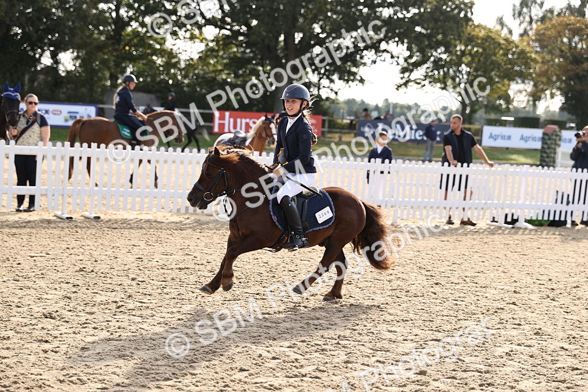 SBM_59805 - J11 - Junior Pony 50cm Championship