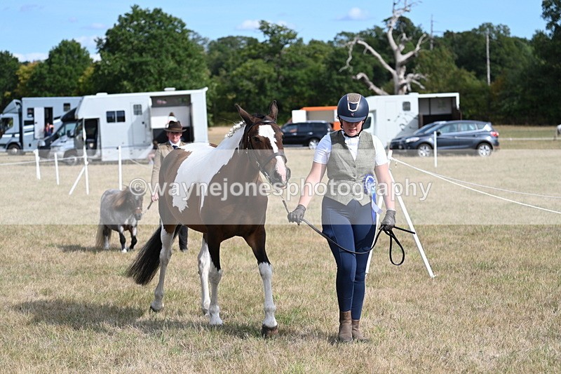 WJ7_8030 - In-hand Championship