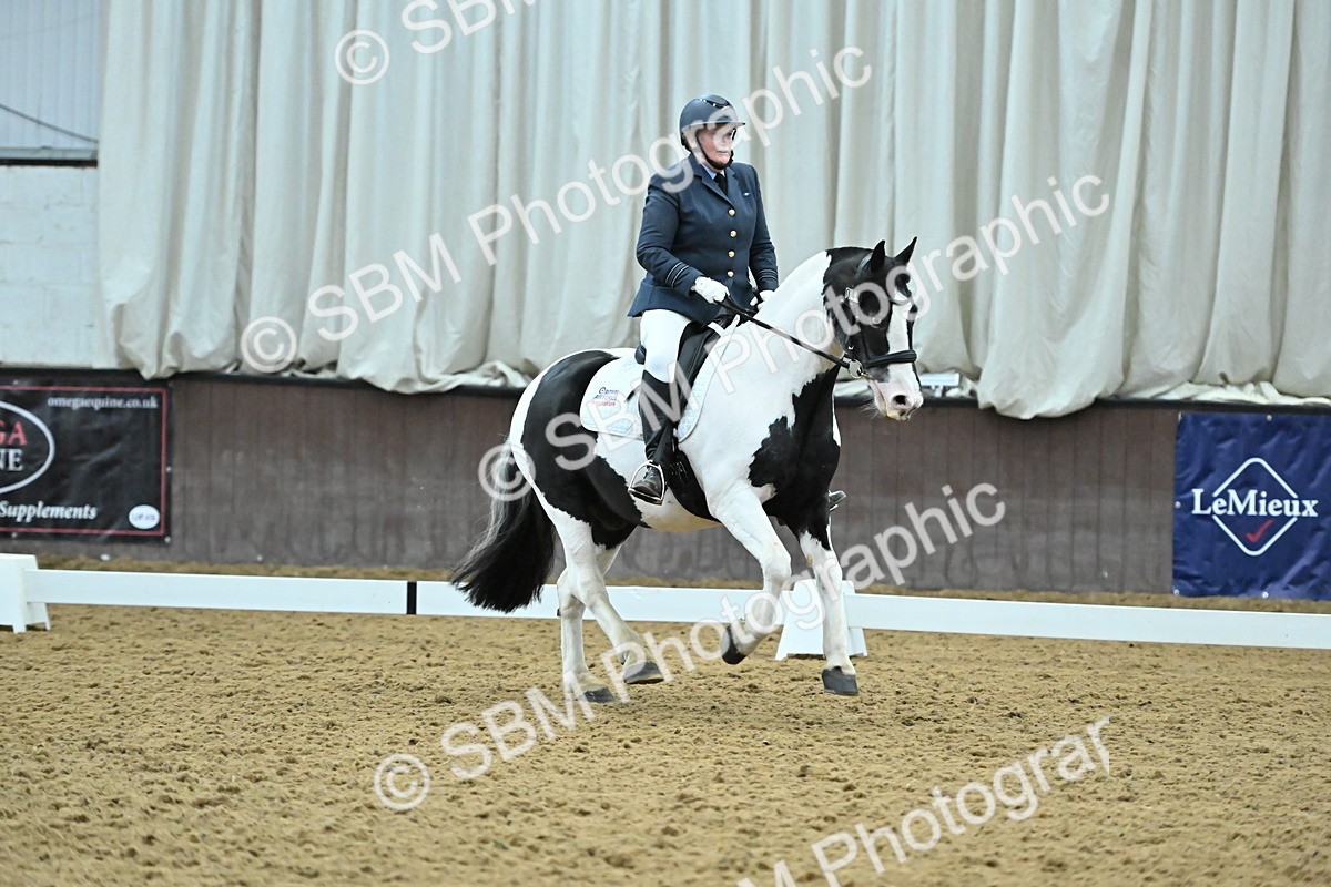 SBM_007407 - Class 81 - Novice 3