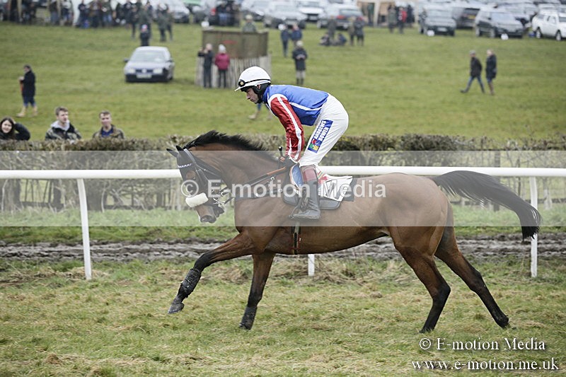 PtP 020418 -111 - Old Berks Point-to-Point Races Easter Monday 02/04/18