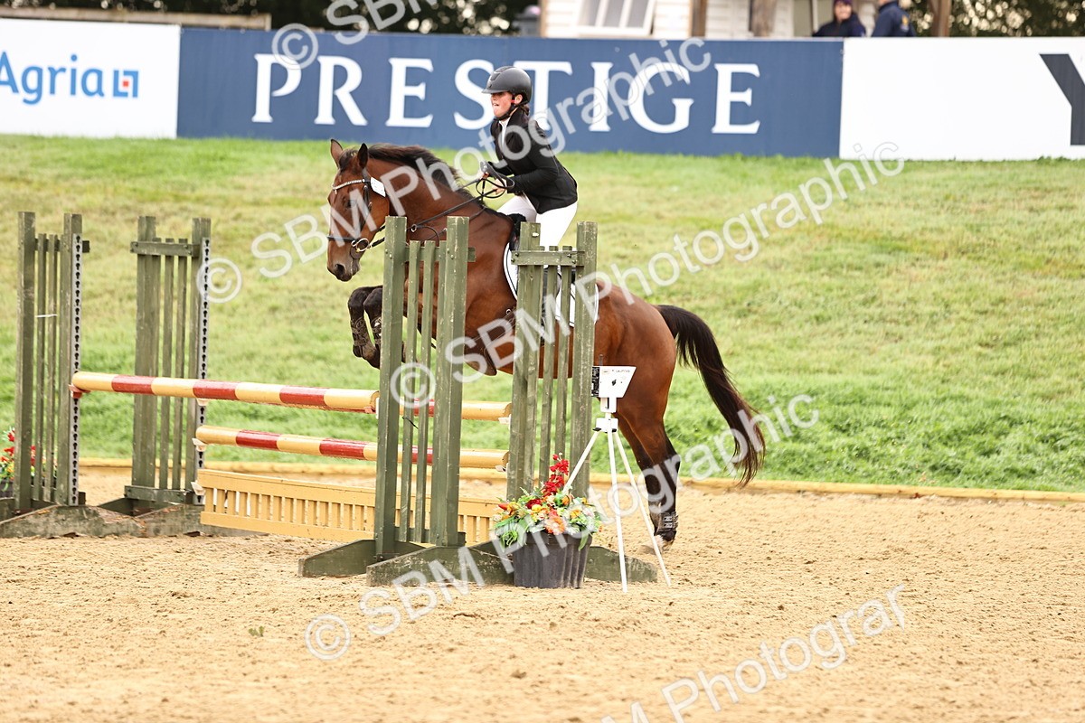 SBM_58312 - J41 - Grand Tour Horse & Pony 95cm