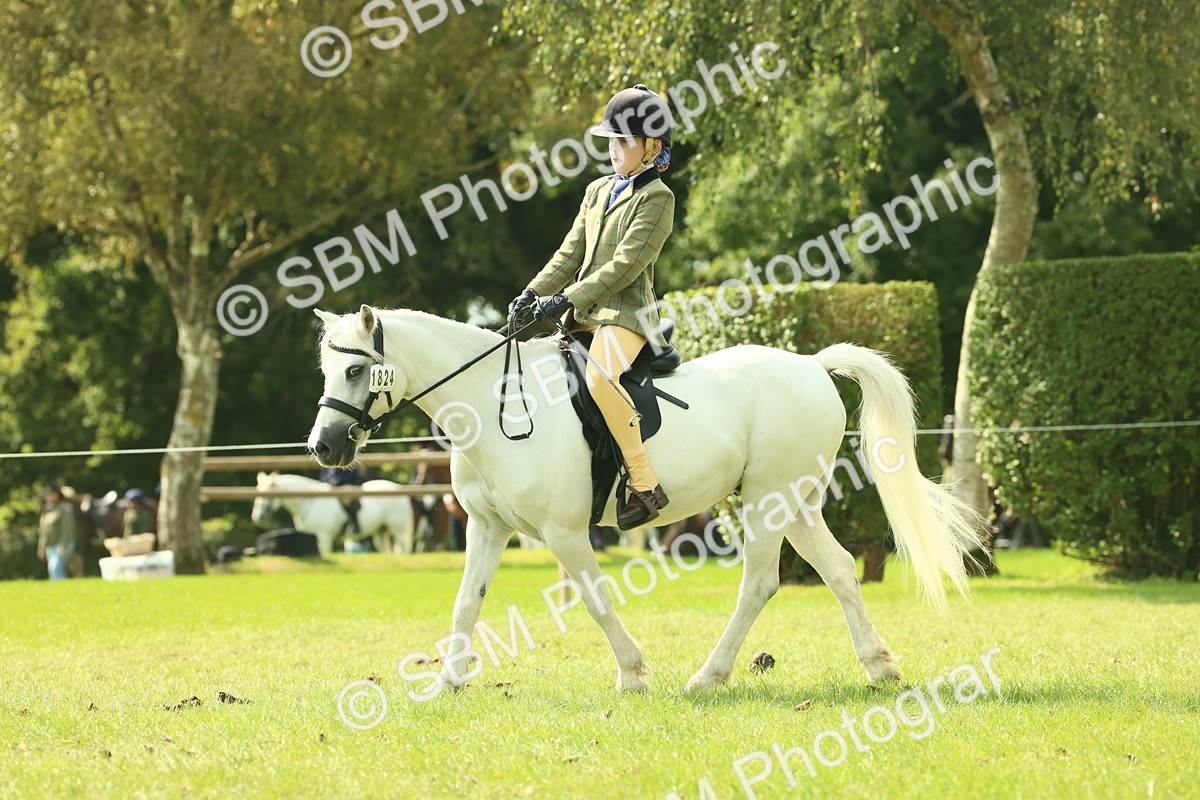 SBM_66497 - S34 - Rehabilitated Rescue Horse & Pony In Hand & Ridden