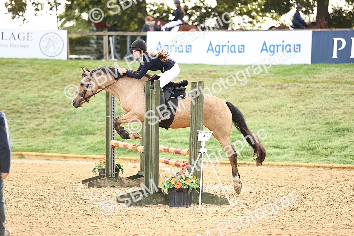 SBM_55208 - J62 - Clear Round 90cm