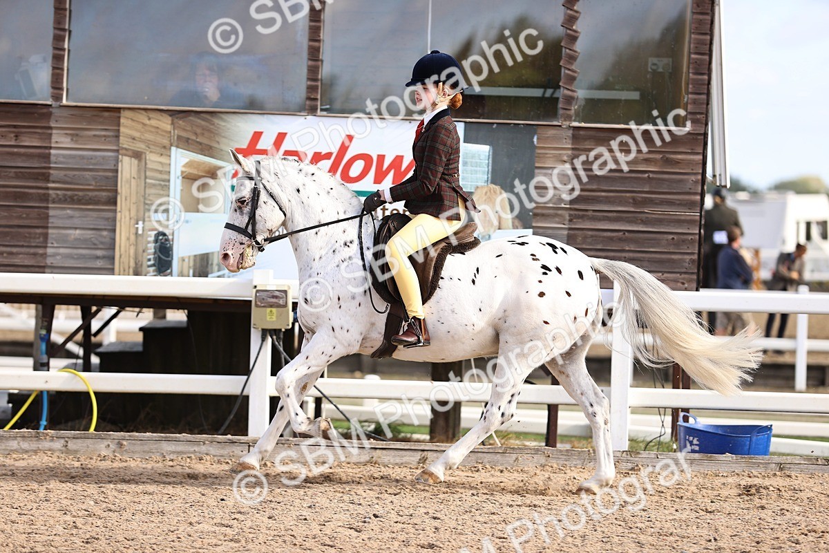 SBM_09026 - Class 403 - Grassroots Ridden - Junior