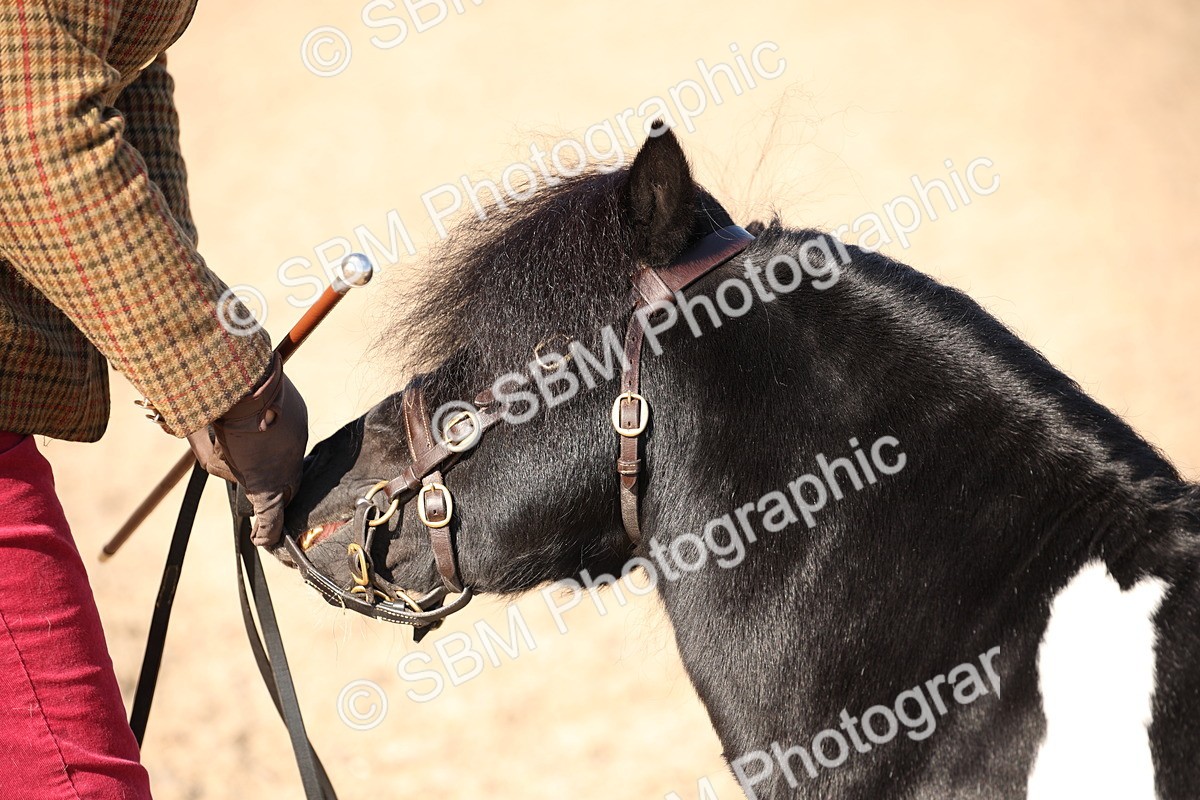 SBM_01526 - Class 15 IH Coloured