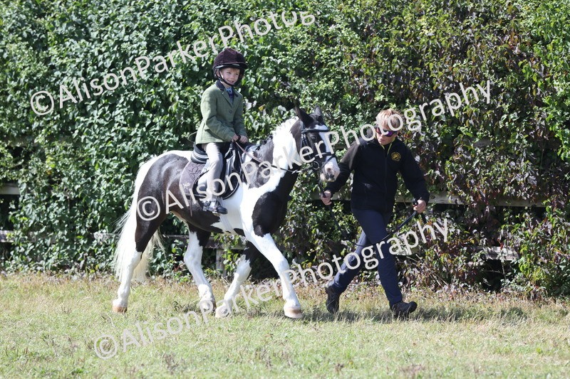 20250831-2667 - Class 17 - Lead Rein Pony