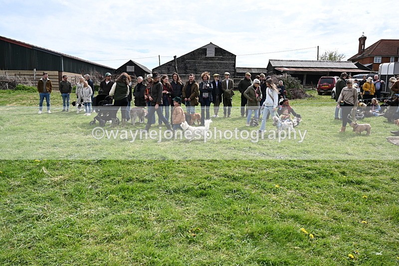 WJ6_8222 - Class 4 Prettiest Bitch