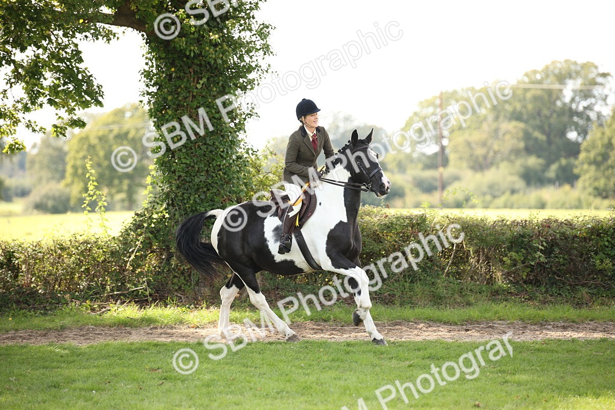 SBM_70167 - S65 - Piebald & Skewbald Horse Ridden