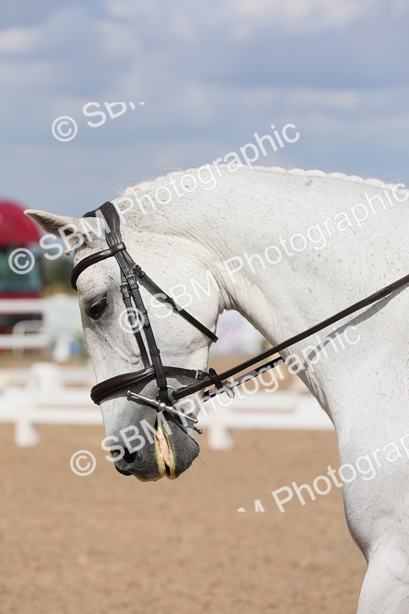 SBM_04108 - Class 31 Prelim 1