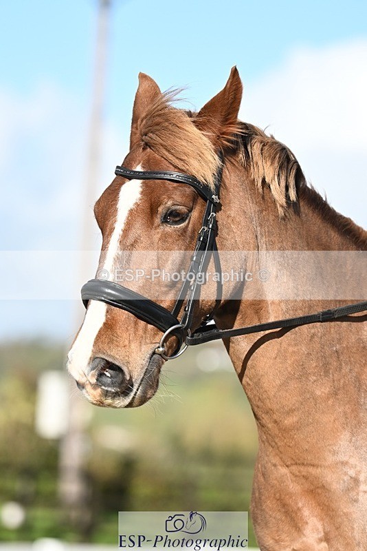 231105-125052-01737 - Cls 2 Prelim 7 12.41 to End