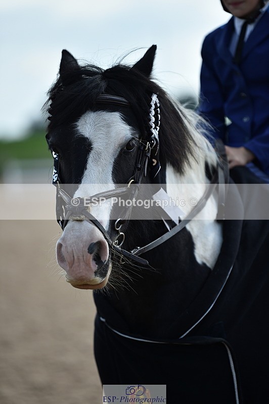 230902A-145104-01839 - Cls 3B Pony Medium 90cm