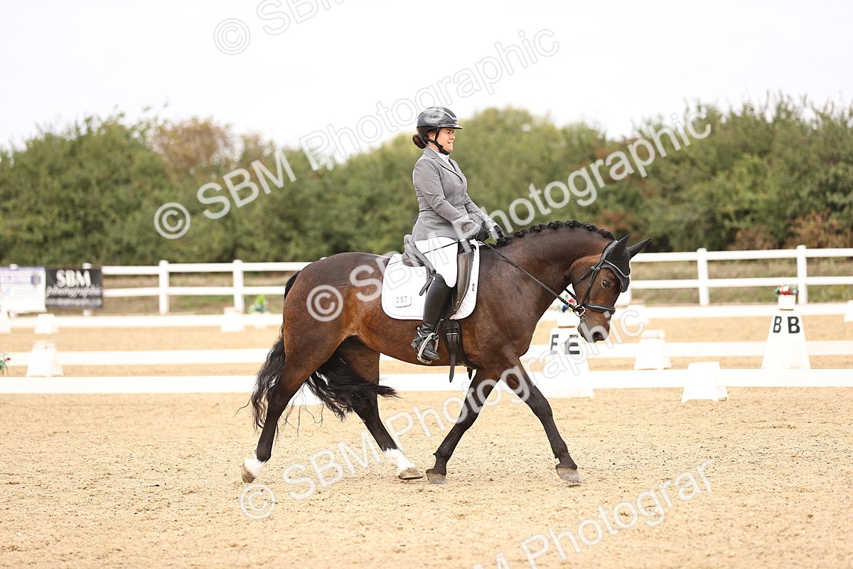 SBM_013971 - Class 4 - Novice 5 - 13.09-13.51