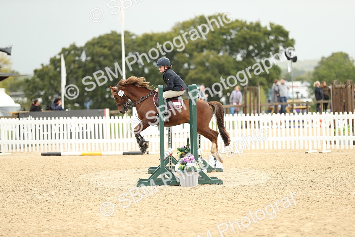 SBM_34225 - J60 Clear Round 50cm