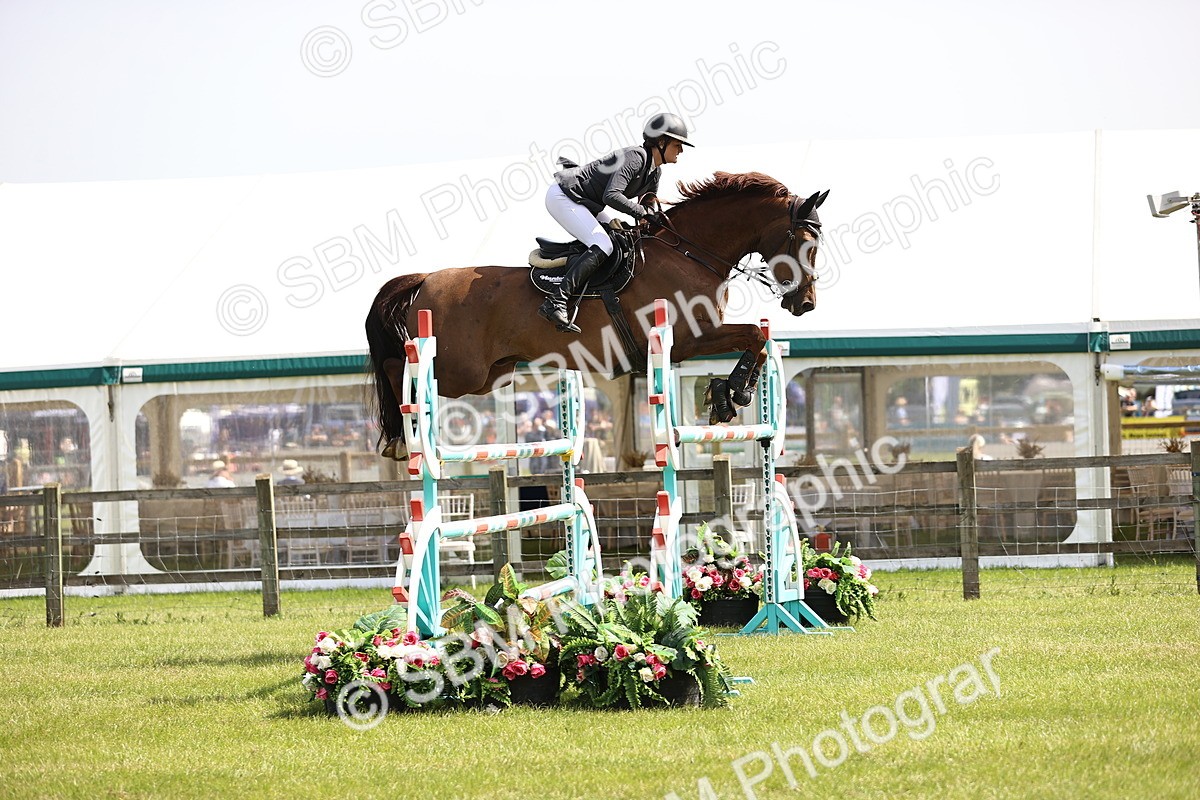 SBM_03194 - Class 201 - British Horse Feedds Speedi Beet HOYS Grade C