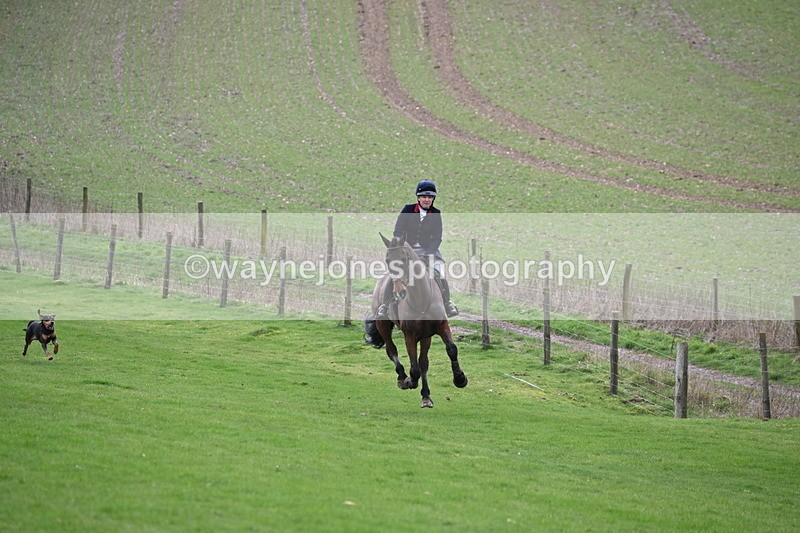 WJ6_8988 - Line Three