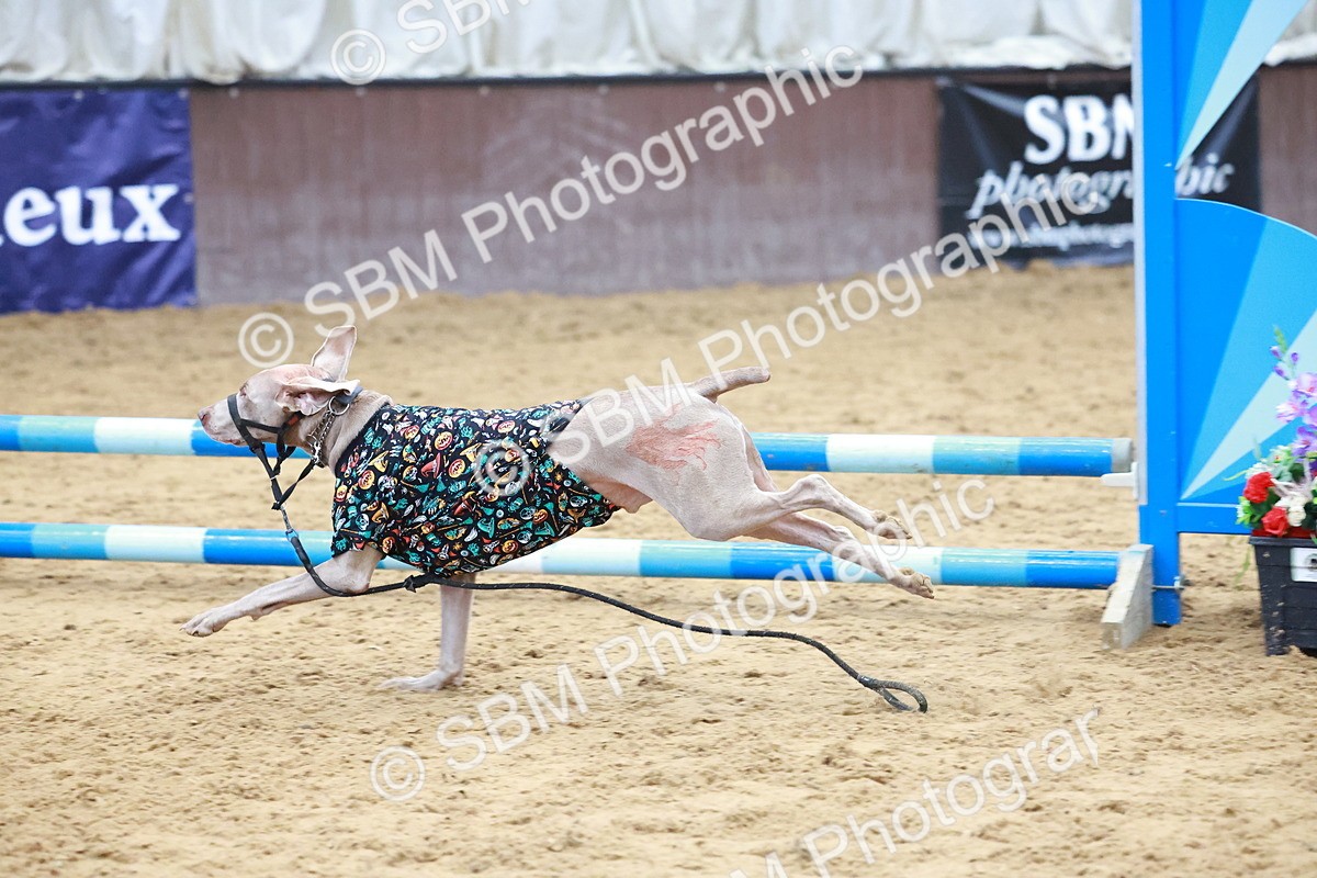 SBM_001751 - Class 3 - Horse & Hound (60cm)