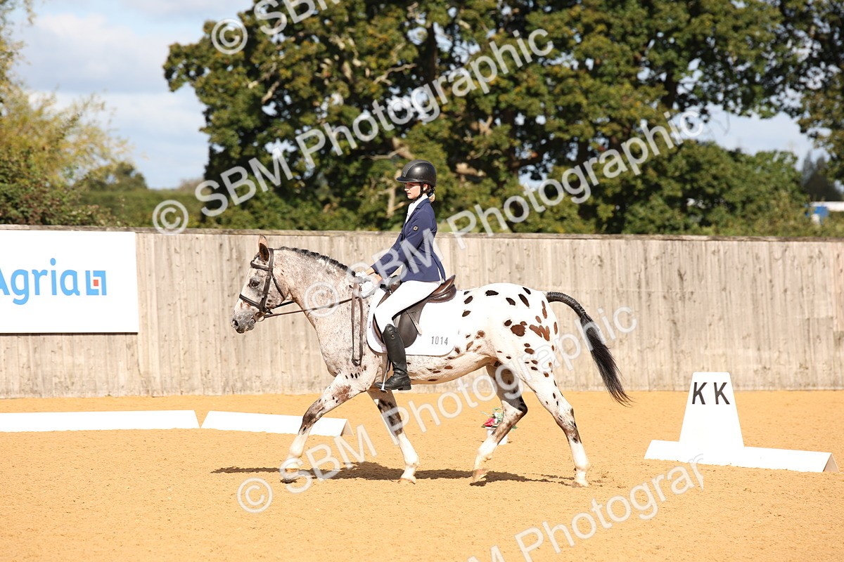 SBM_01958 - D2 Small Tour Championship Intro C