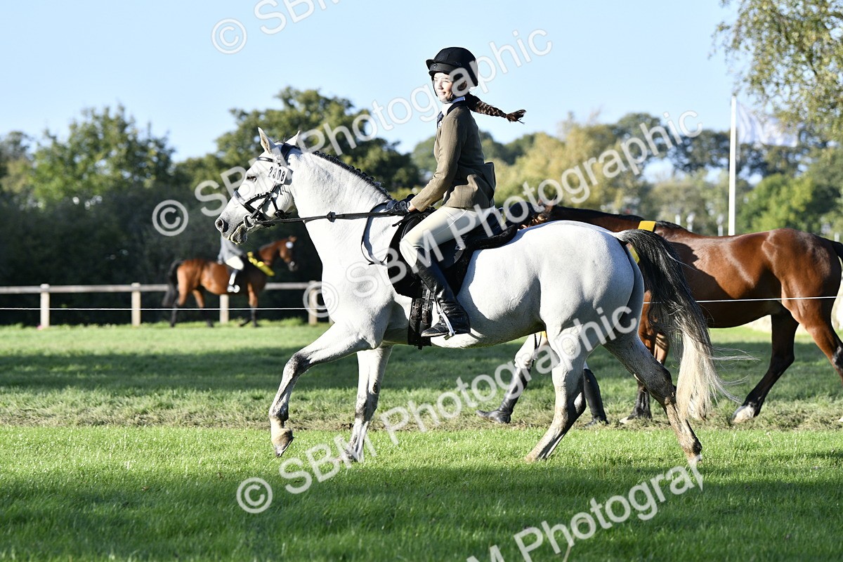 SBM_53519 - S14 - Riding Club Horse