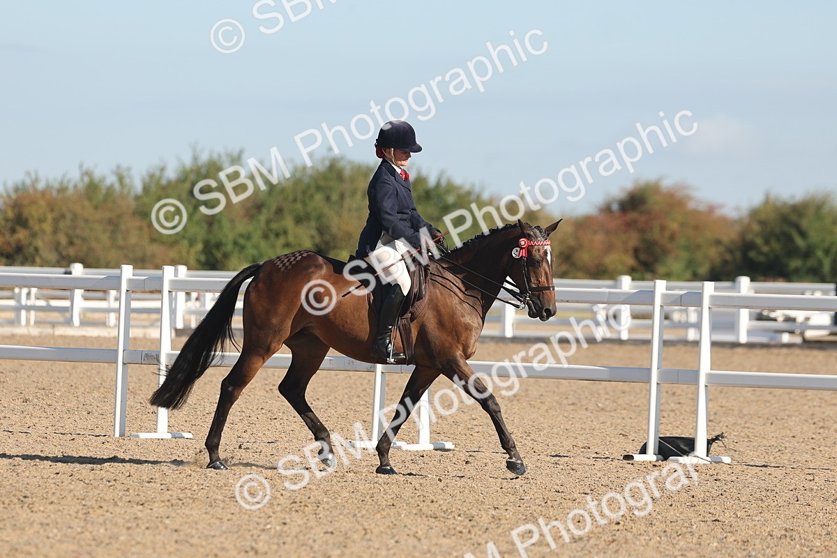 SBM_12193 - Class 303 - Ridden Pure Bred Horse Pony