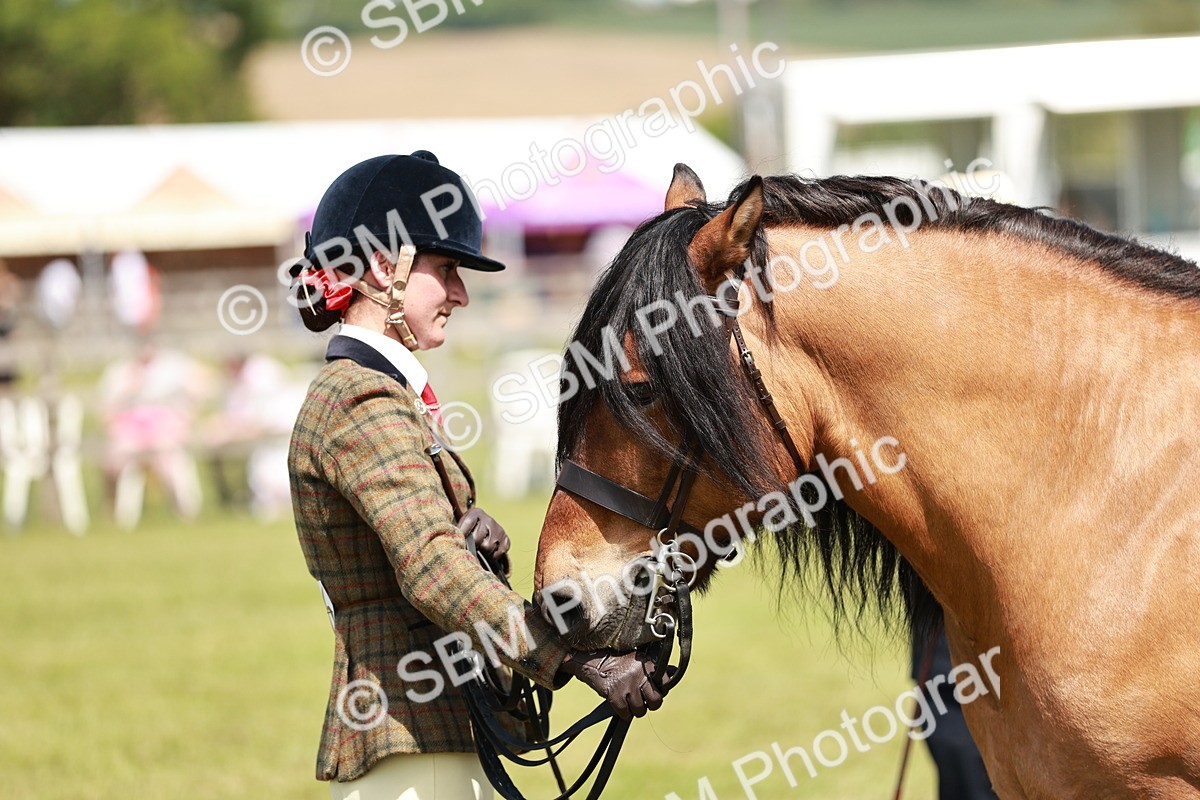 SBM_07153 - Class 26-30 - Mountain and Moorland Ridden