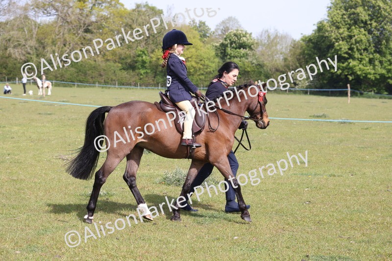 20260426-0597 - Class 31 - Leading Rein