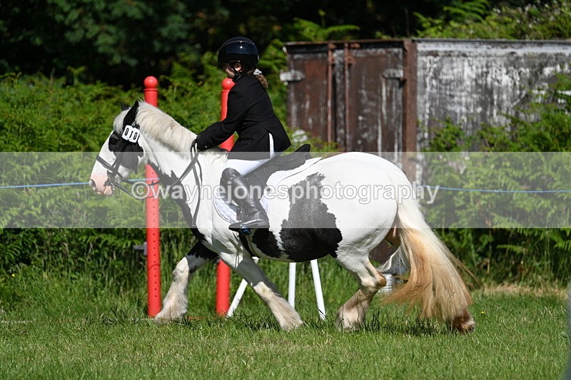 WJ7_0511 - Class 8 First Rally Pony