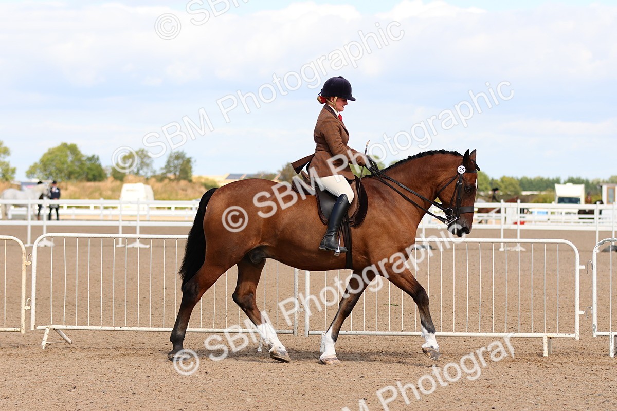 SBM_13463 - Class 212 - Ridden Hunter  - Large