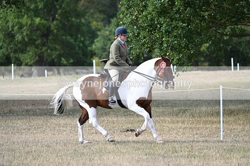 WJ7_7746 - Ridden Championship