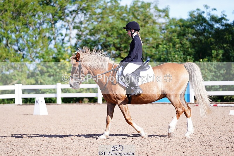 240809A-091126-00170 - Dressage Competition