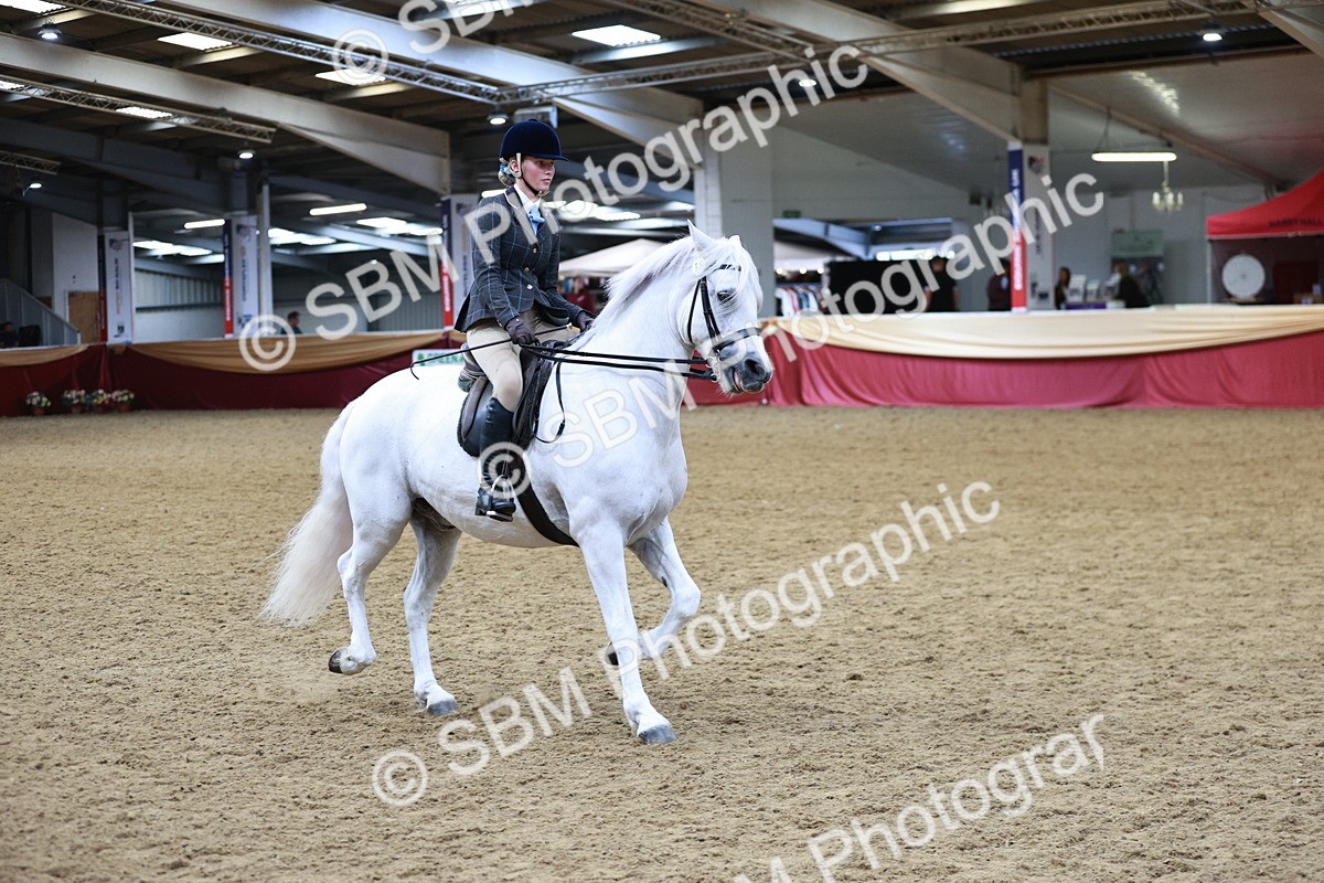 SBM_03636 - Class 6A Area Ridden Pre-Vet