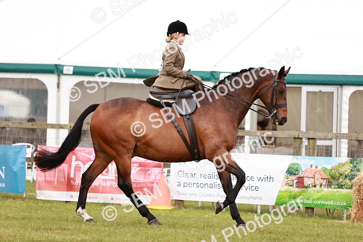 SBM_10976 - Class 81-84 - RIHS Ridden hunters Inc Ladies Hunter