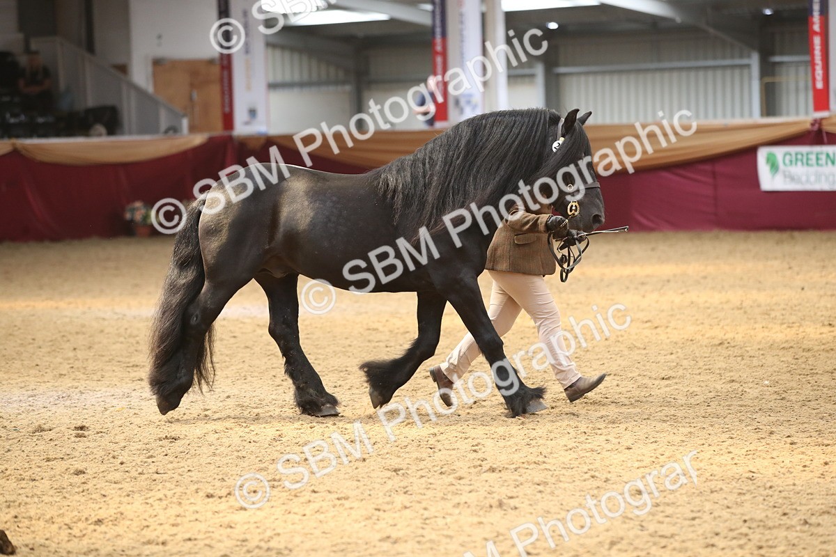 SBM_05338 - Class 8R - Regional IH Veteran