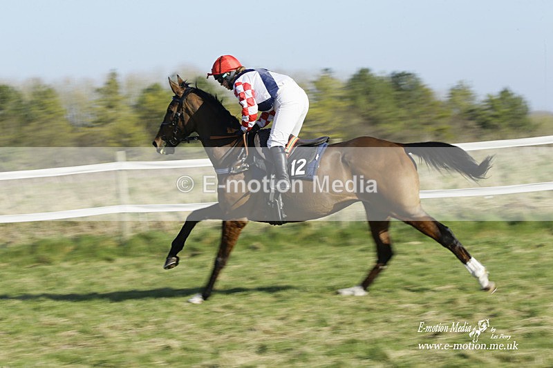 PtP 270222 165 - South & West Wilts Point-to-Point Larkhill 27/02/22
