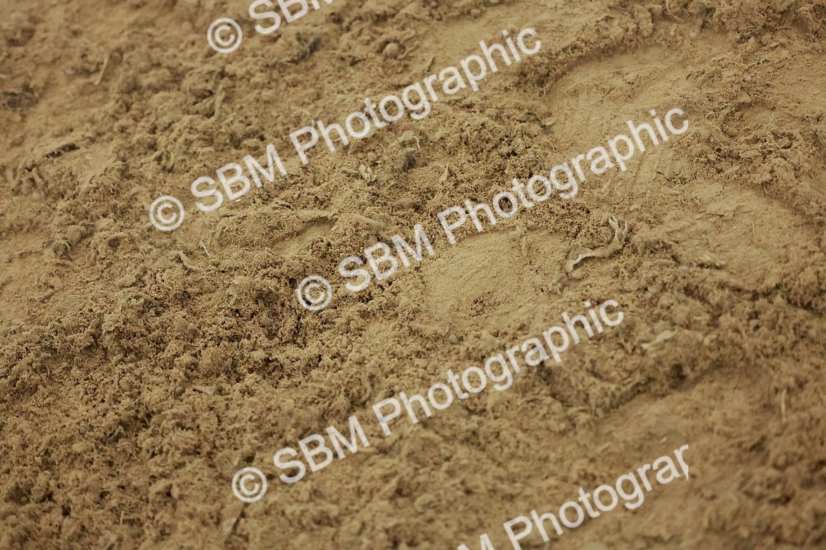 SBM_004961 - Class 6 - Chase Me Charlie