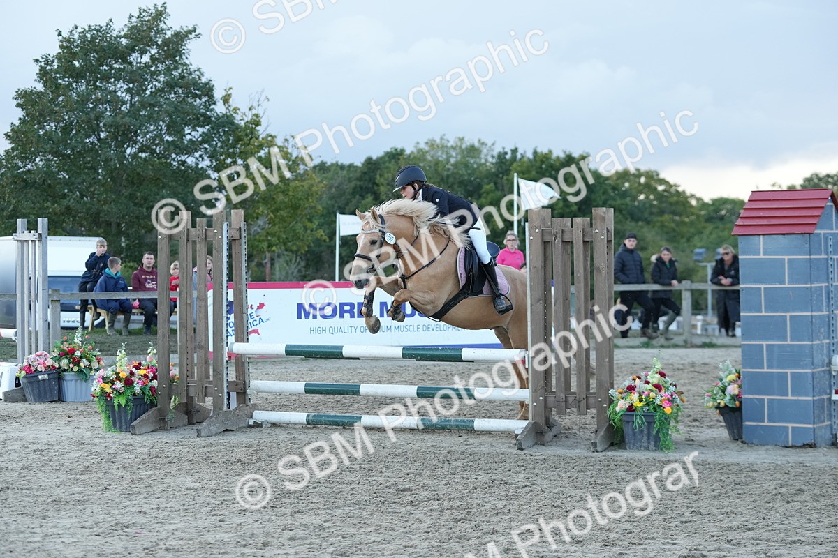 SBM_54207 - Supreme Championship 60cm 65cm