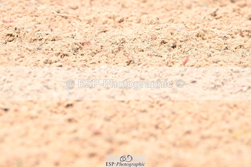 240621A-140325-03832 - Cls 11 BD Medium 73