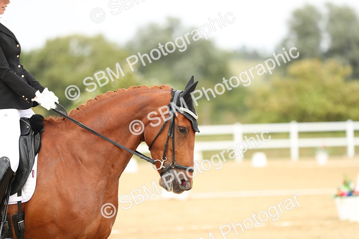 SBM_017607 - Class 13 - Novice 23 - 14.27-15.16