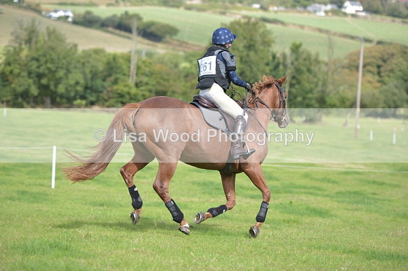 RAY_8794 - Class 2: Trekenning Open: Wall