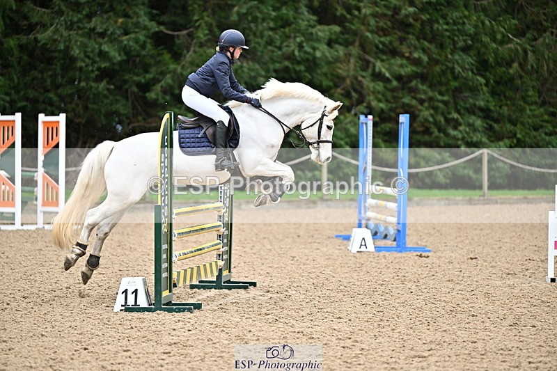 250201A-101400-00174 - Cls 01 Local Horse 90cm