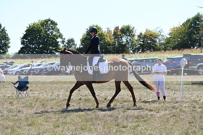 WJ6_8851 - Class 38 Ridden Riding Horse/Pony