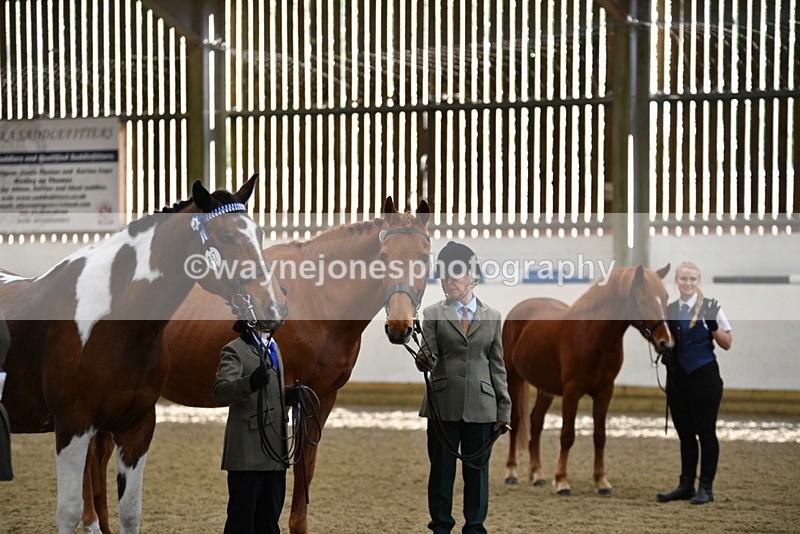 WJ5_4083 - Class 2 Best Condition In hand